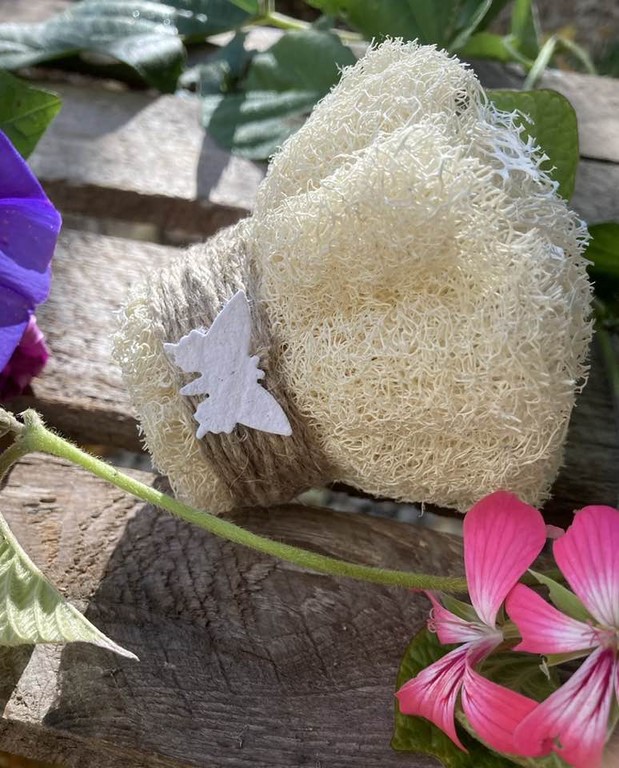 Loofah OLB