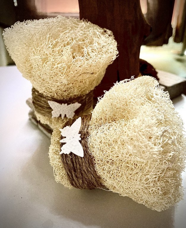 brosse Loofah