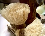 brosse Loofah